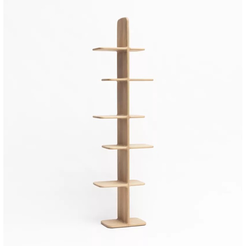 Bibliothèque Téhème Drugeot