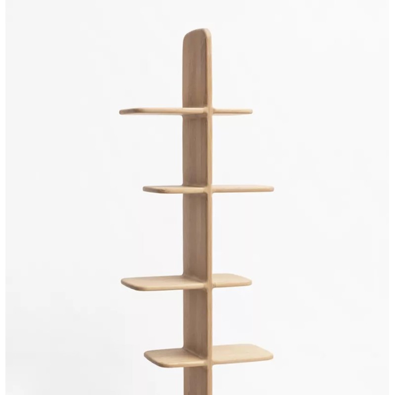 Bibliothèque Téhème Drugeot