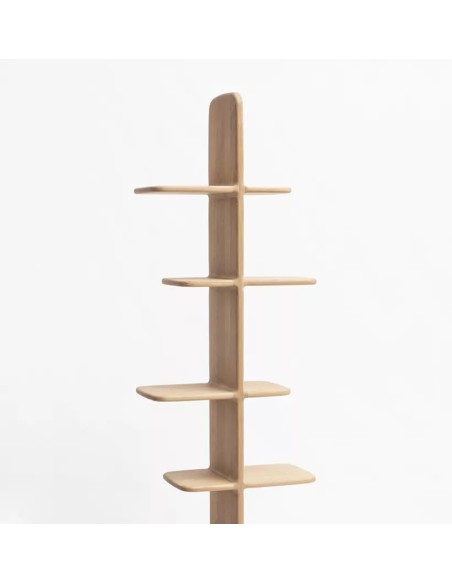 Bibliothèque Téhème Drugeot