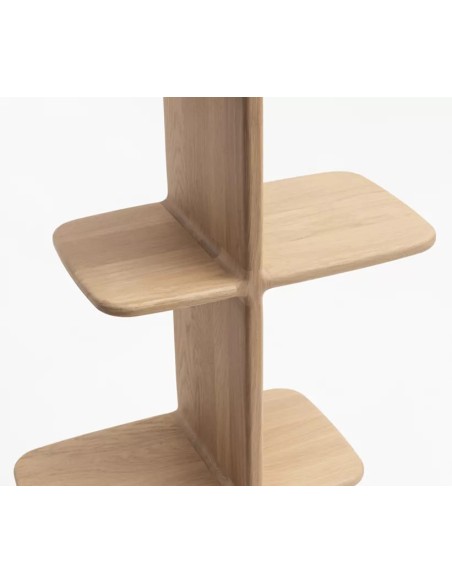 Bibliothèque Téhème Drugeot